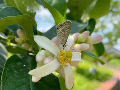 -广州神农草堂中医药博物馆