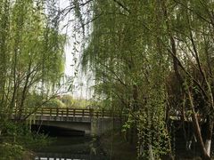 -尚贤河湿地