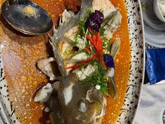 清蒸大石斑鱼-蒲叙(凯天国际店)