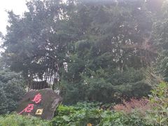 -乌山风景区