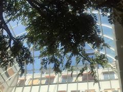 -乐蓬马歇百货公司(Rive Gauche)