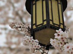 -苏州上方山国家森林公园