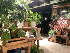 -自由生长植物工作室(深港花卉中心店)