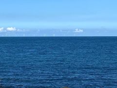 -阿弟特色海鲜餐厅·大排档(平潭店)