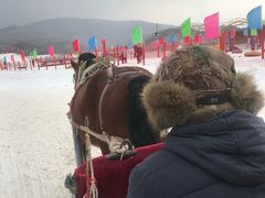 -亚布力新体委滑雪场