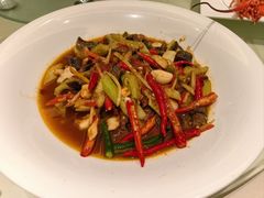 -金熊猫川菜餐厅