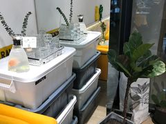 -不正咖啡(万达尊店)