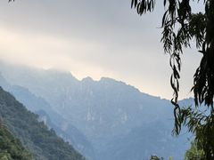 -陕西省红河谷森林公园