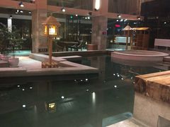 -汉拿山温泉度假酒店