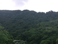 -秦岭终南山公路隧道公司