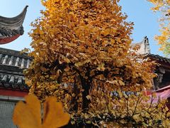 -成都市文殊院