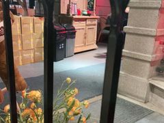 -沪小胖小龙虾(淮海中路旗舰店)