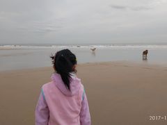 -日照海滨国家森林公园