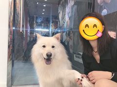 -肆兮眼镜·蔡司·徕卡战略合作店(大坪店)