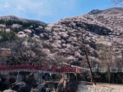 -妙峰山风景名胜区