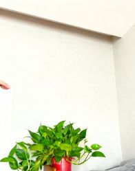-Dr.林醫生产后修复·配方产康(南京江宁万达店)