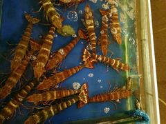 -真浪大家乐海鲜餐馆