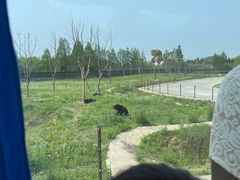 -上海野生动物园