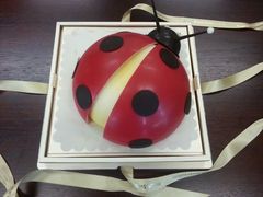 android_upload_pic-BLACKSWAN黑天鹅(环球店)