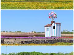 -江苏三台山国家森林公园
