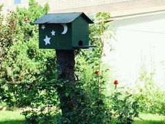 -亮马河饭店翠雅咖啡厅