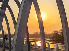 -大兴滨河森林公园