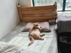 -汉丽斯巴西烤肉自助(市南店)