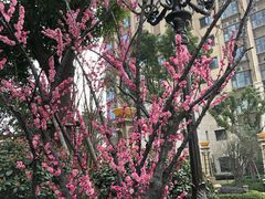 -恒大御景湾