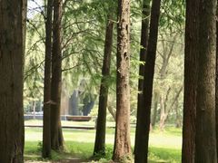 -同里国家湿地公园