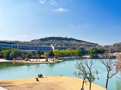 -上海佘山世茂艾美酒店