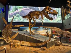 -贝林大翅鲸简餐厅(国家海洋博物馆店)