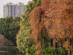 -晓港公园