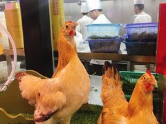 -火候轩品质湘菜·私厨(市府店)