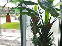 -弄堂里(阿里西溪A区店)
