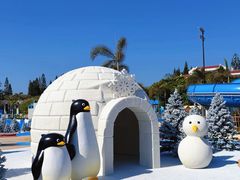 -汕头中海黄金海岸水上乐园