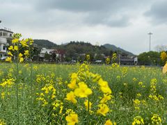 -红山村