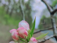 -长春净月潭风景名胜区