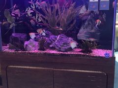 -龟与熊猫宠物公园(南坪店)