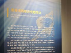 -天津古林古海岸遗迹博物馆