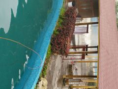 -金孔雀温泉旅游度假村