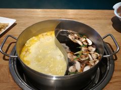 -青瓷火锅料理(西单大悦城店)