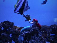 -太平洋海底世界