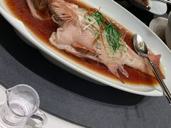 清蒸石斑鱼-悦秀·高级粤菜