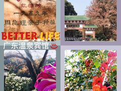 -广东温泉宾馆