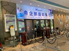 -帝企鹅自助餐厅•儿童岛•真企鹅(长隆企鹅酒店)