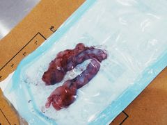 -伟伟宠物医院·CT影像中心·瑞派犬猫综合性门诊(汉口总院)