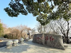 -平湖九龙山旅游度假区