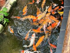 -上海大自然野生昆虫馆