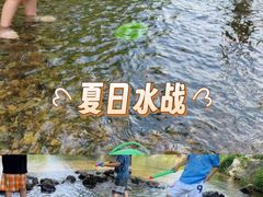 -羊山湖公园