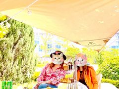 -天津海河悦榕庄·Lobby Lounge大堂吧